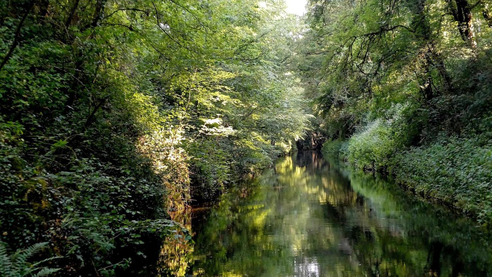 Le Manivert Vitry-Lache Bagian luar foto
