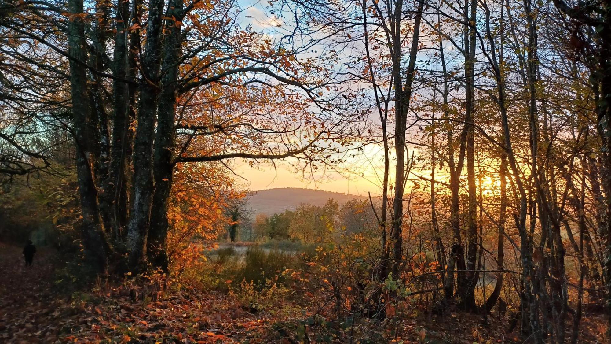 Le Manivert Vitry-Lache Bagian luar foto