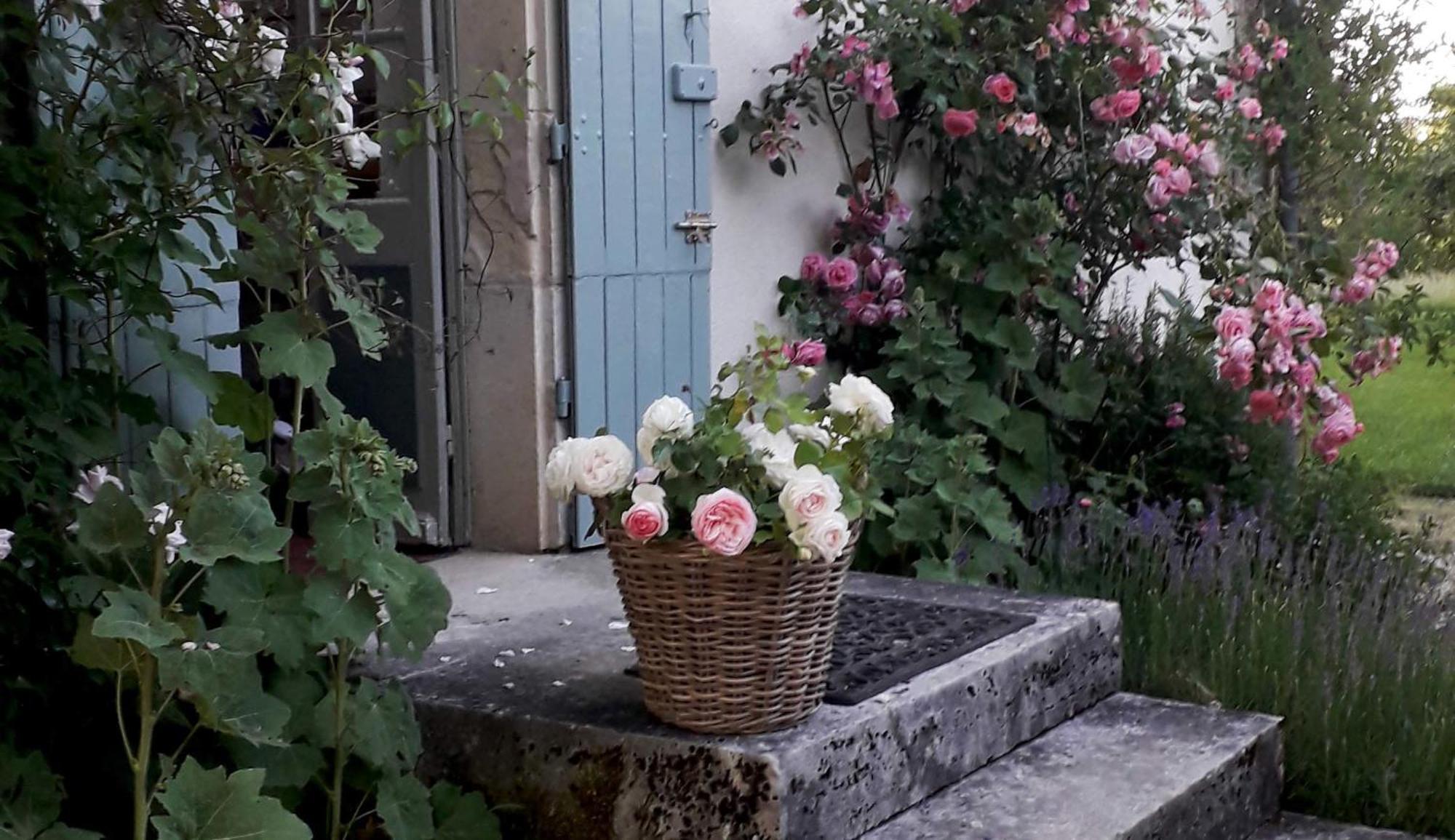 Le Manivert Vitry-Lache Bagian luar foto